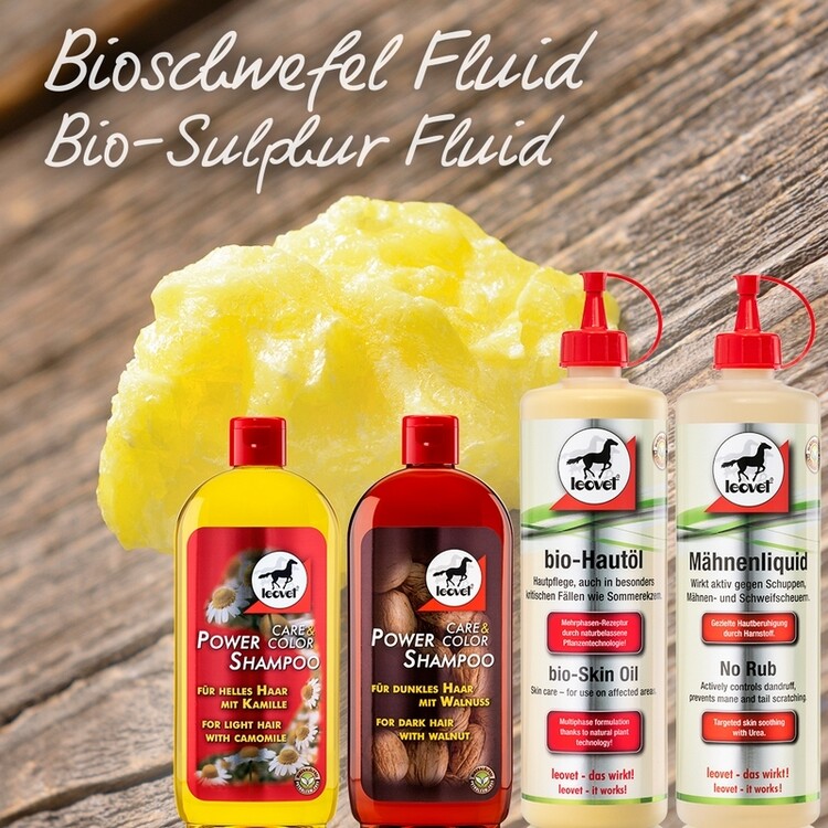 Leovet Power Shampoo Walnoot | 500ml