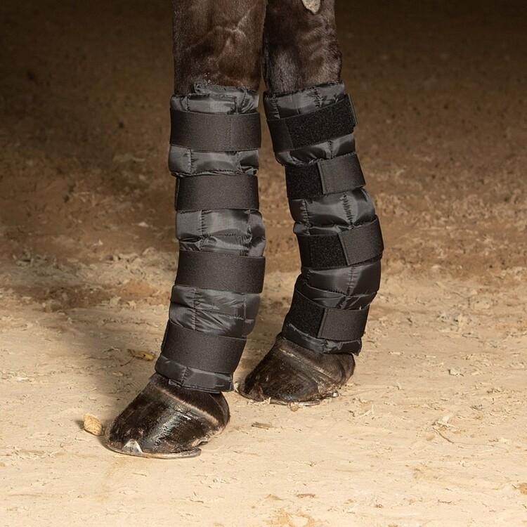 Harry's Horse Cold Wraps