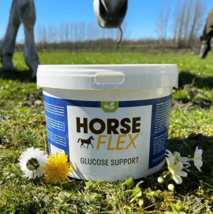 HorseFlex Glucose Support 600gram