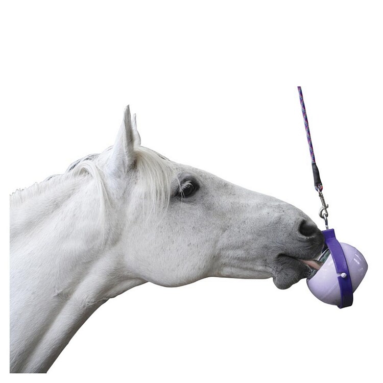 Likit Boredom Buster