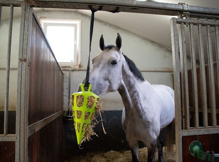 Excellent Hay Slowfeeder Fun & Flex Wortel