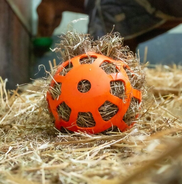Hay Slowfeeder Fun and Flex 22cm