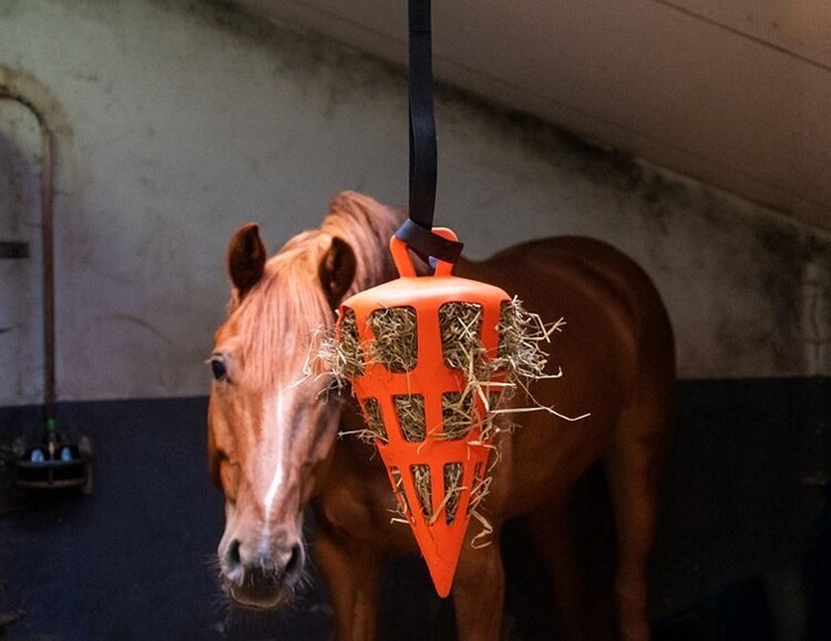 Excellent Hay Slowfeeder Fun & Flex Wortel