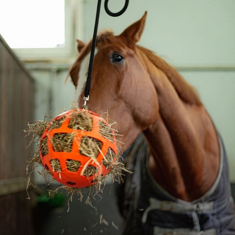 Hay Slowfeeder Fun and Flex 22cm