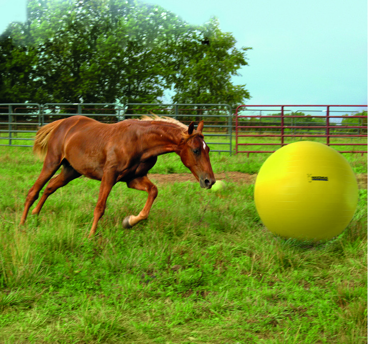 Maximus Power Play Ball paarden speelbal
