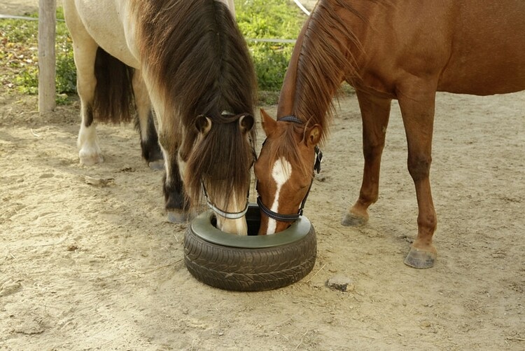Kerbl Tyre Voerbak