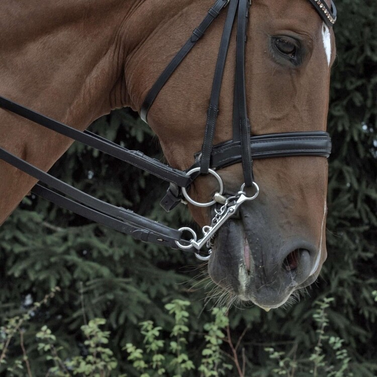 Sprenger HO Dressuurstang 12mm Sensogan 7cm