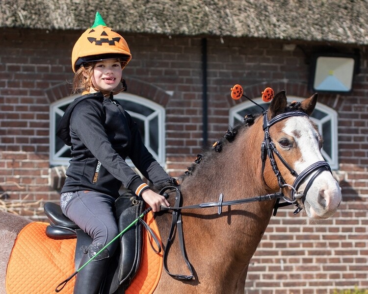 QHP Kopstuk accessoire Halloween