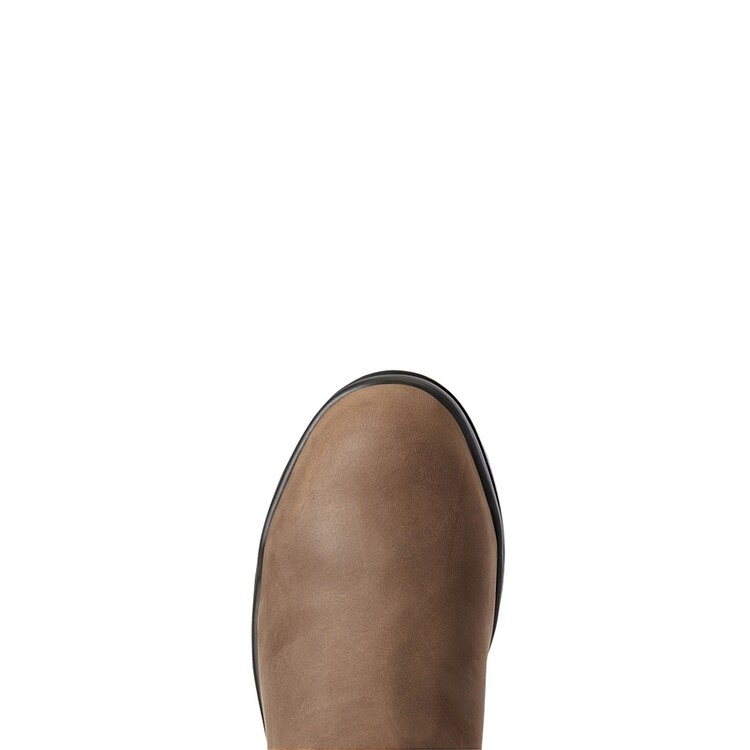 Ariat Keswick Steel Toe Paddock schoen