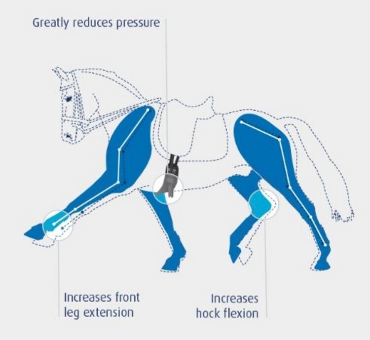 Prolite Dressuursingel Narrow Freedom of Movement