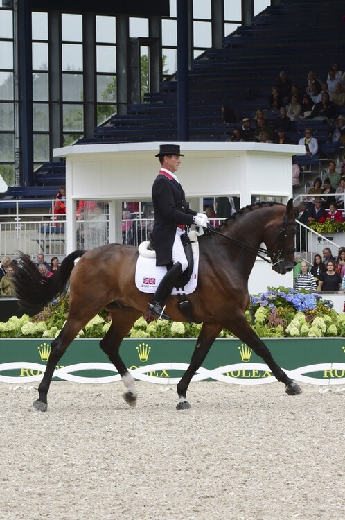 LeMieux Zadeldek Luxery Suede Dressage Square