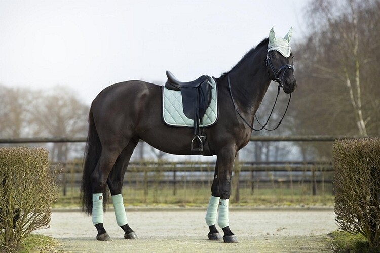 BR Zadeldek Event Cooldry Dressuur