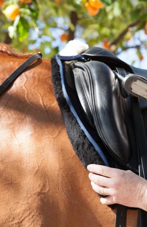 LeMieux Zadeldek Sensitive Dressage Square