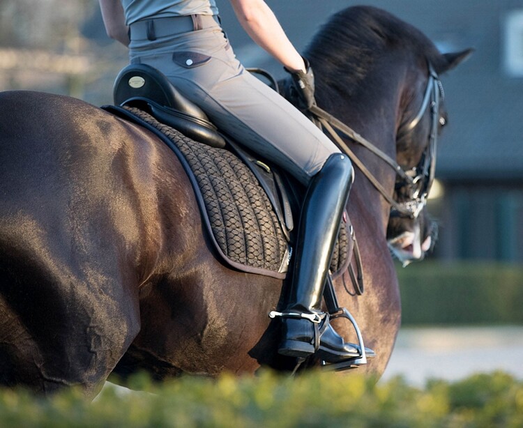 LeMieux Zadeldek Carbon Mesh Dressage