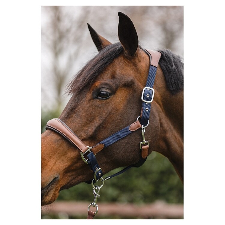 ANKY Halster Combi met Touw