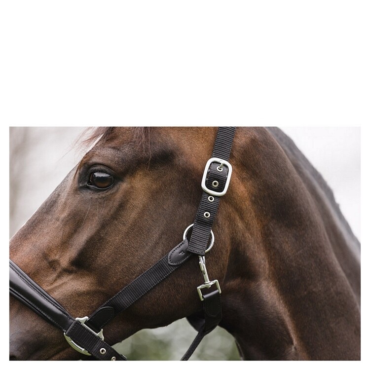 ANKY Halster Combi met Touw
