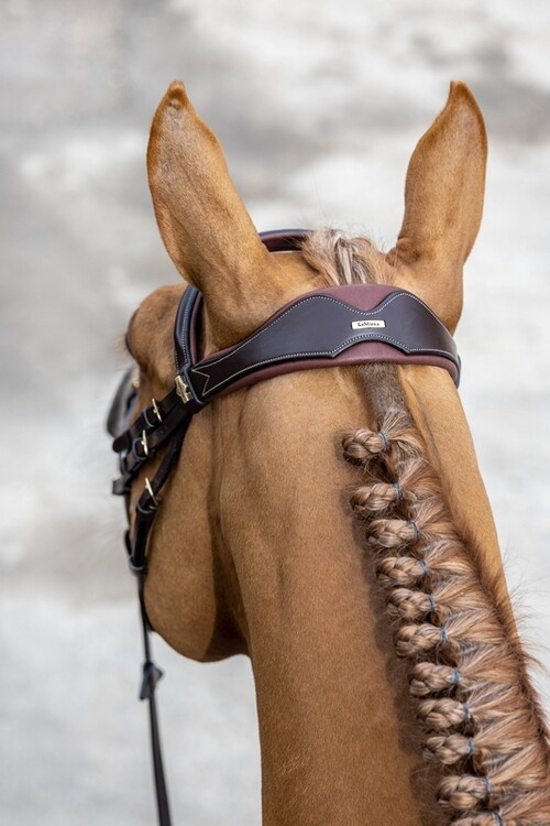 LeMieux Competition Hoofdstel