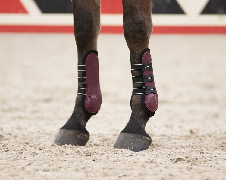 QHP Peesbeschermers Champion