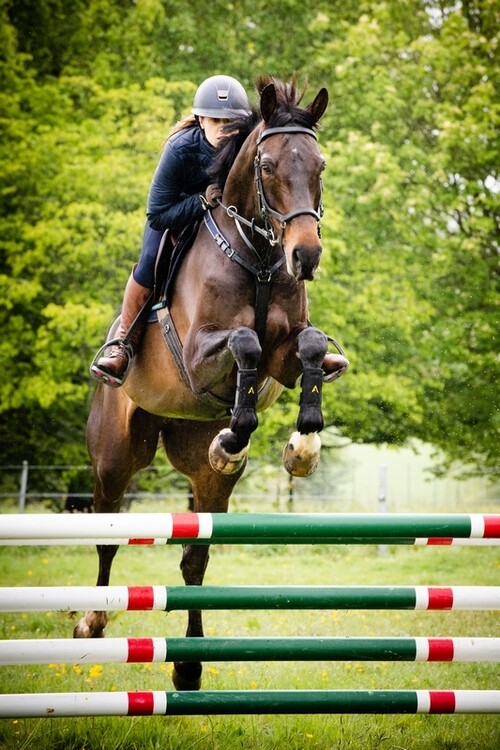 Horseware Adagio Beenbeschermers