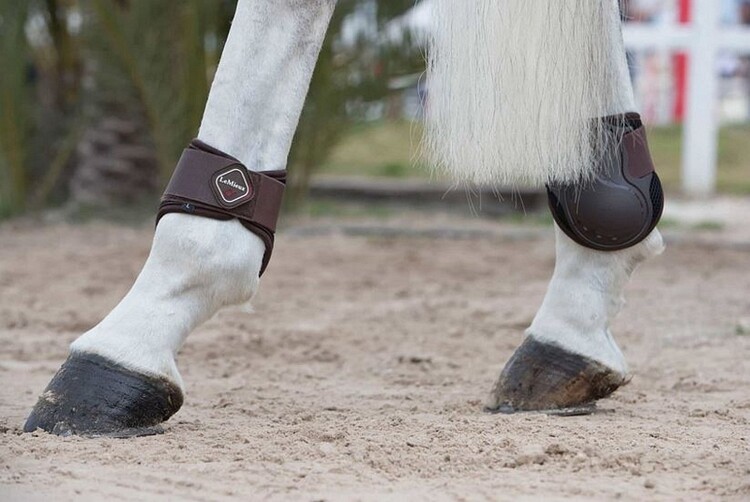 LeMieux Derby ProJump Fetlock Boot