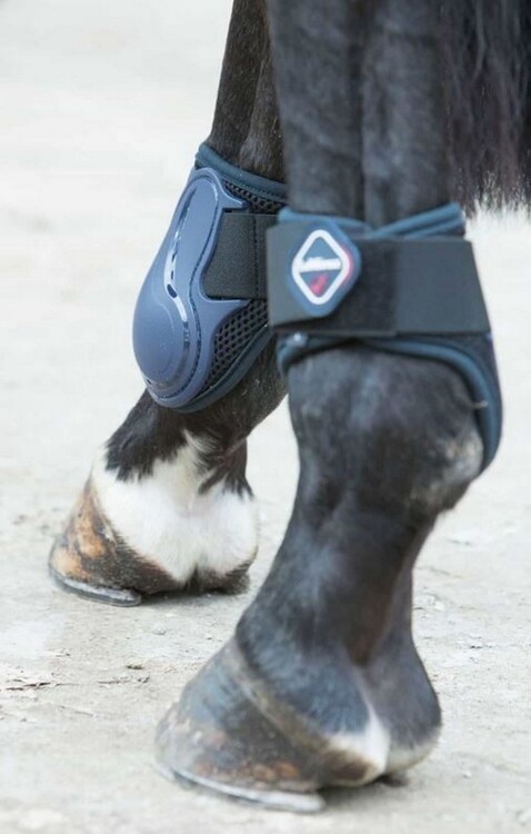 LeMieux Derby ProJump Fetlock Boot