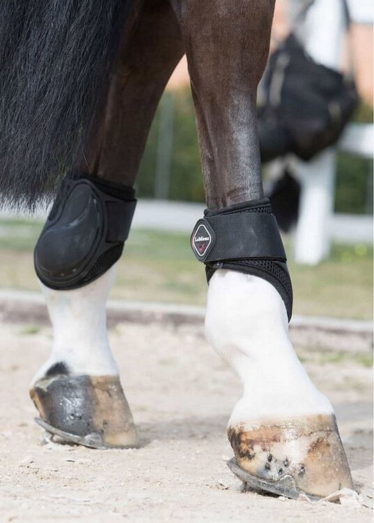 LeMieux Derby ProJump Fetlock Boot