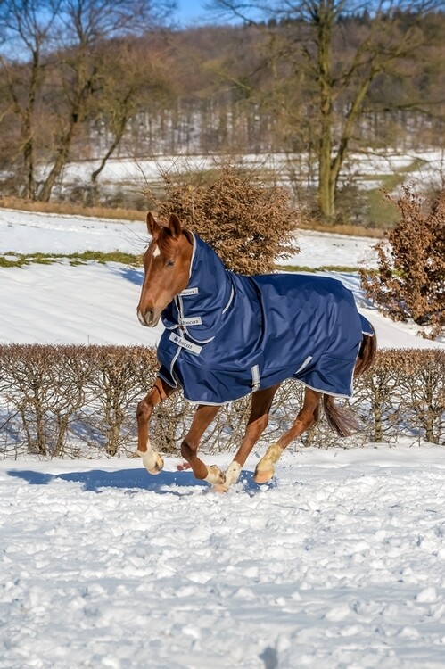 Bucas Freedom Turnout Light 0grs Fullneck