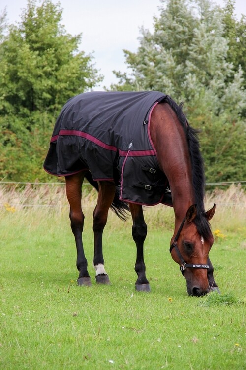 DKR Sports Regendeken Luxe met fleece
