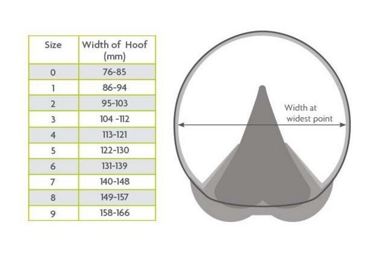 Woofwear Medical Hoof Boot