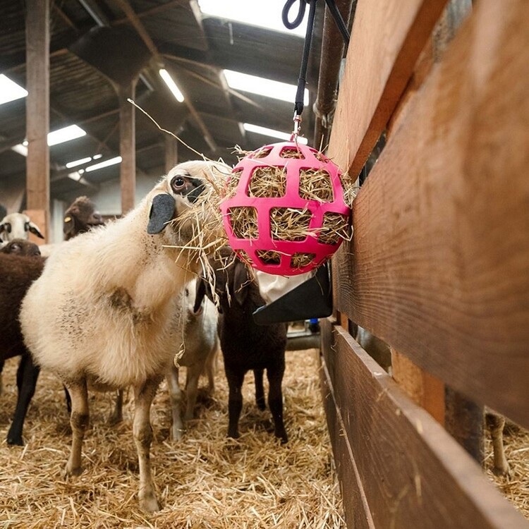 Hay Slowfeeder Fun and Flex 22cm