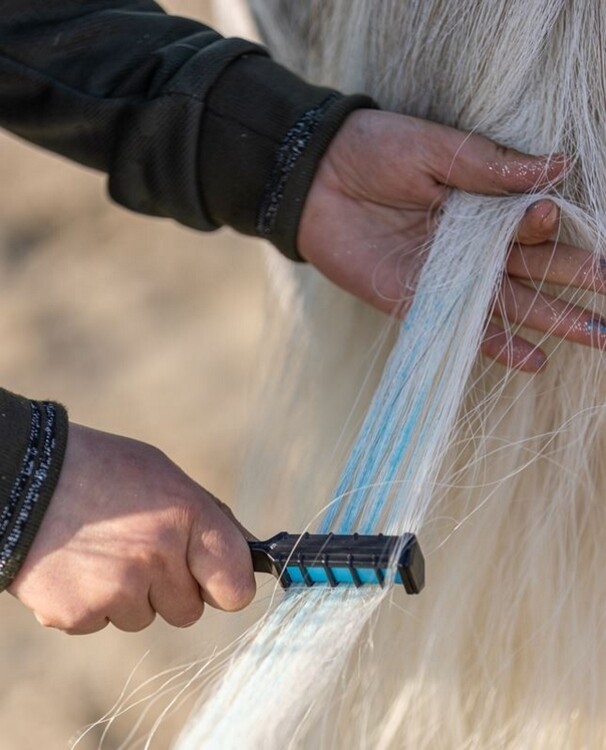 Paardenpraat Regenboog kleurkrijt