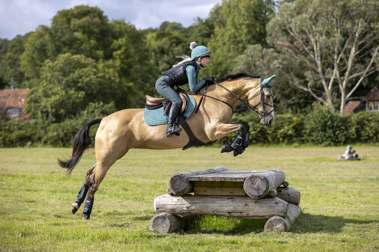 LeMieux Sage CC