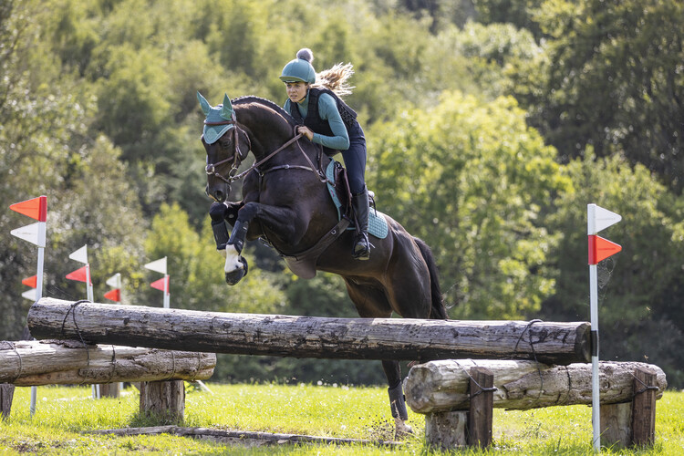 LeMieux Sage CC