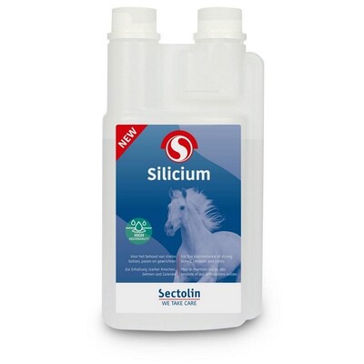 Sectolin Silicium 1L
