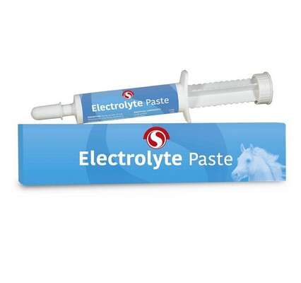 Sectolin Electrolyte Paste
