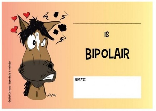HB Stalplaat - Bipolair